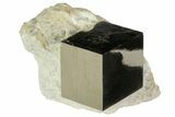 Natural Pyrite Cube In Rock From Spain #82100-1